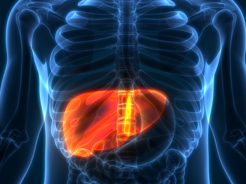 gout vs fatty liver